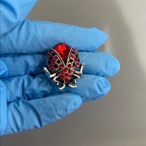 Elegant Red and Black Brooch pin